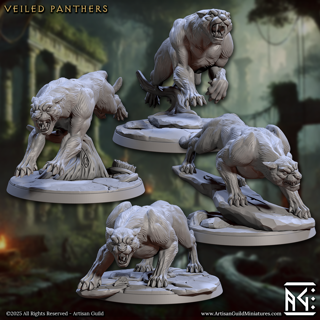 VEILED SISTERHOOD Bundle