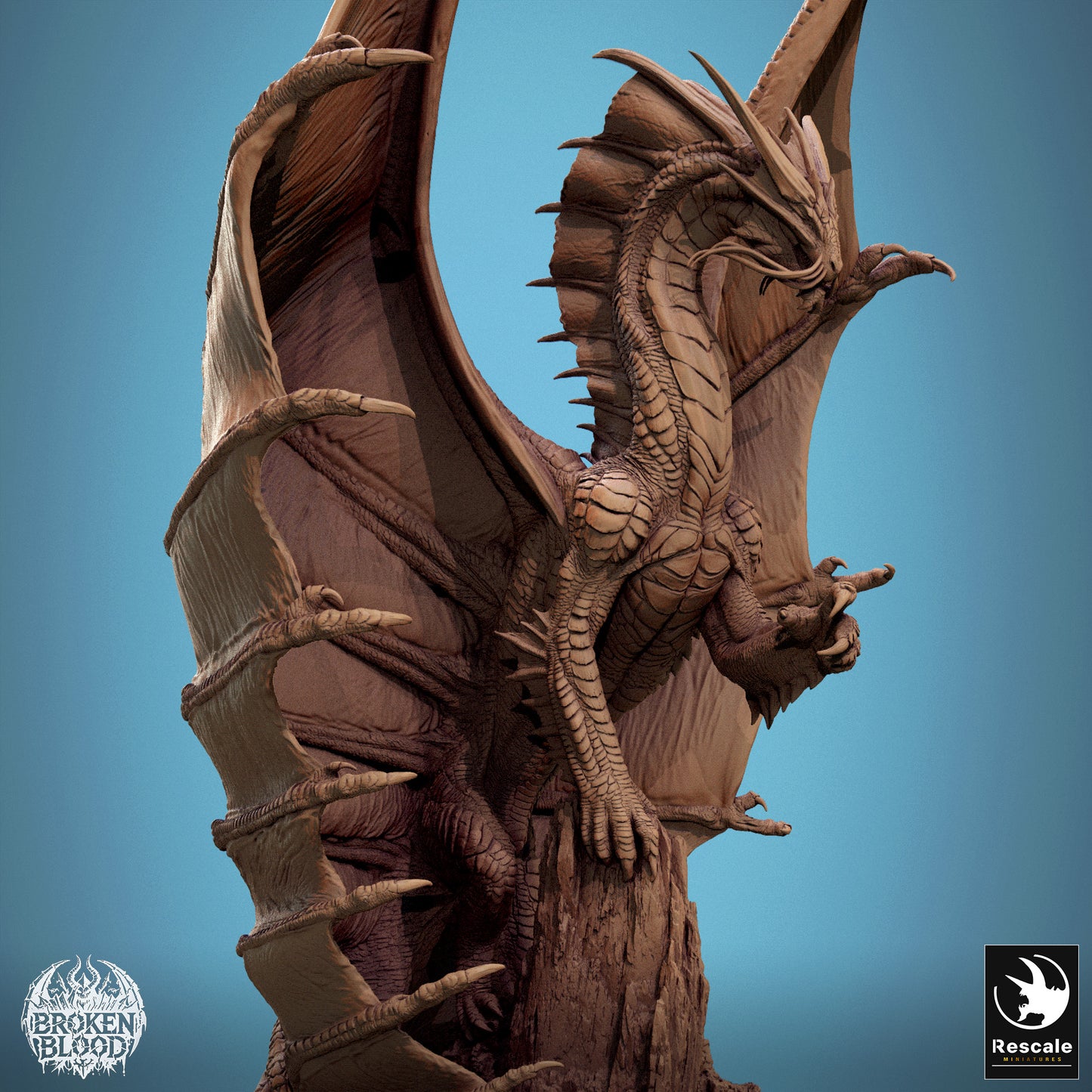 Gold Dragon Legendary (4 Variations)