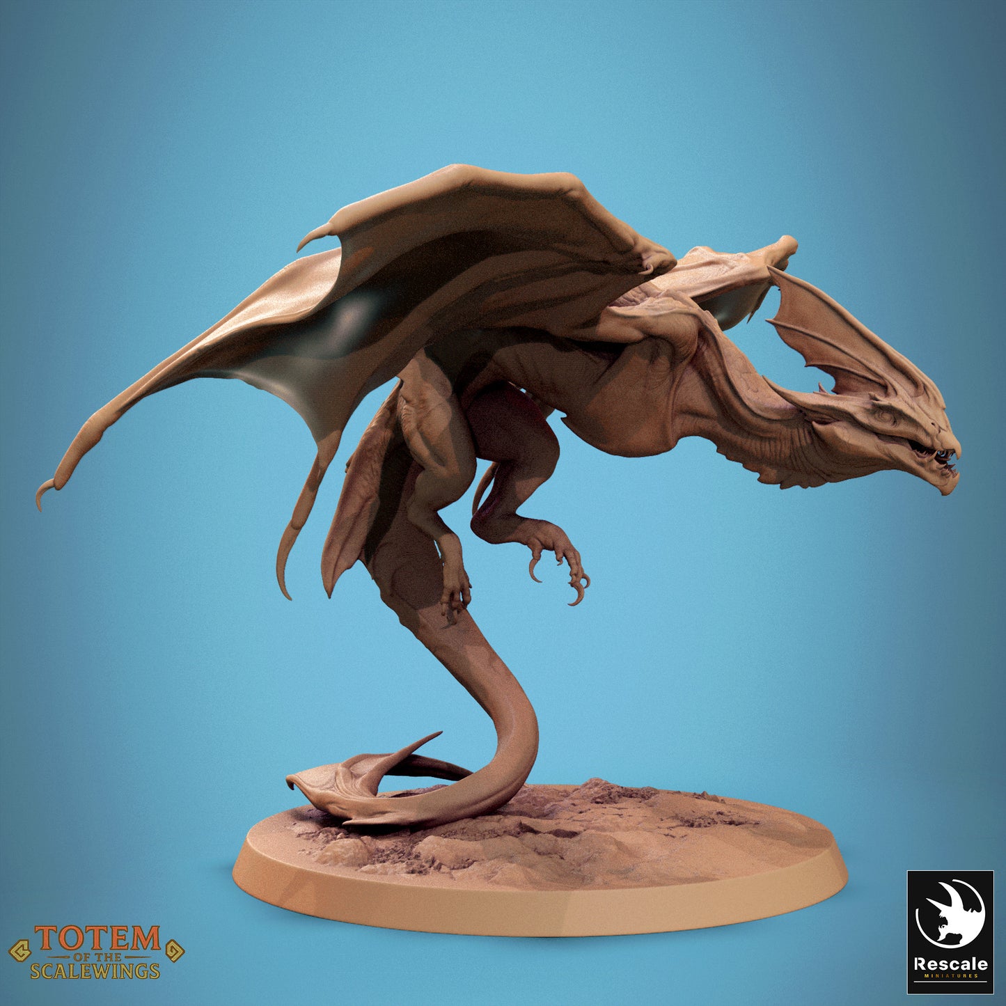 Zicoalt (8 Models)