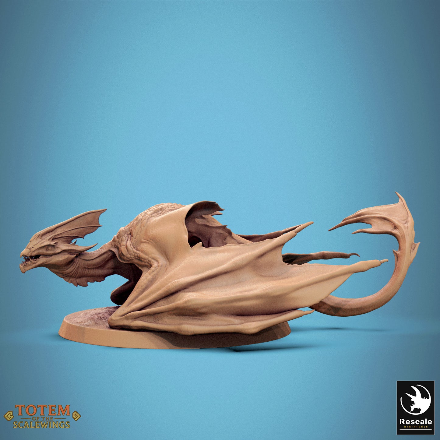 Zicoalt (8 Models)