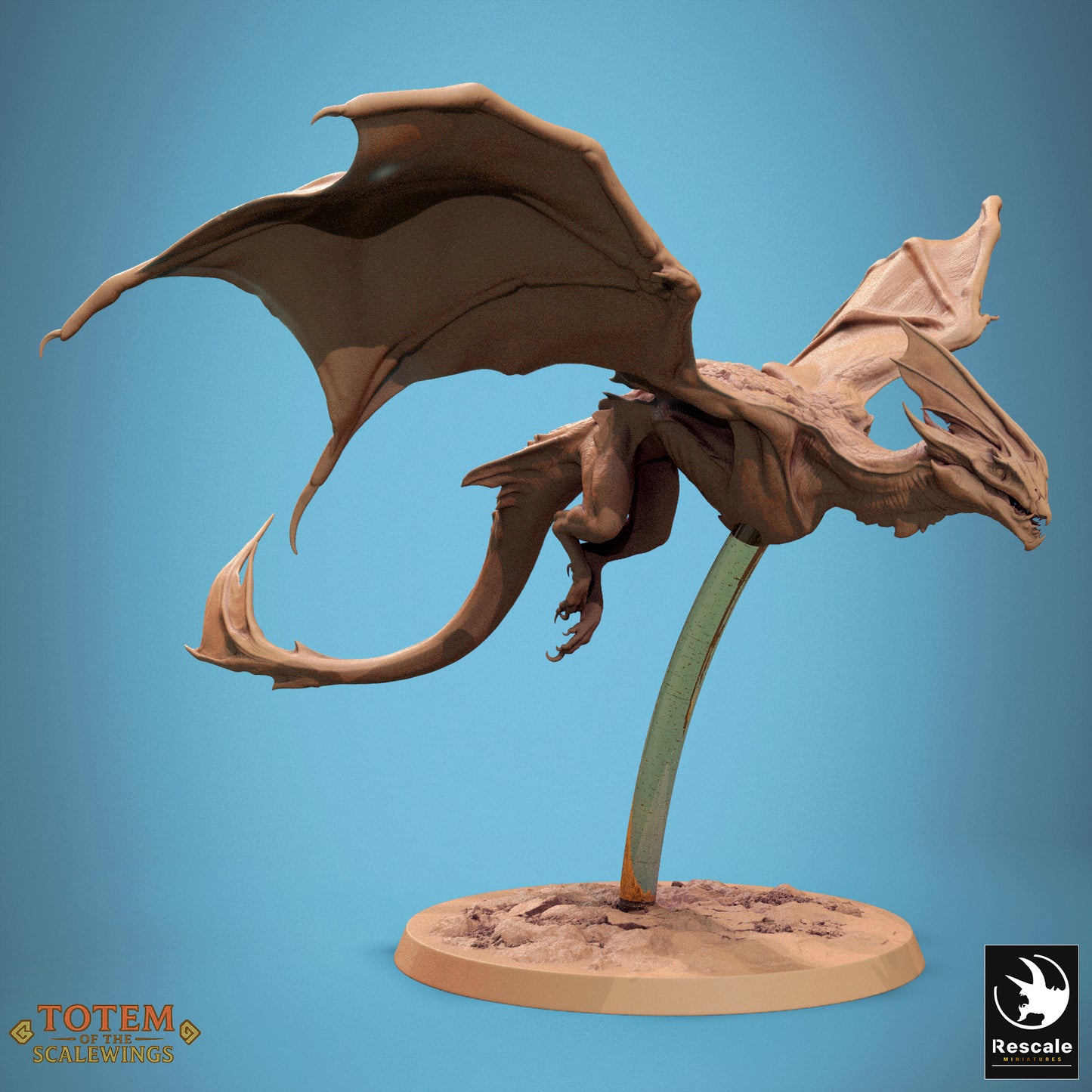 Zicoalt (8 Models)