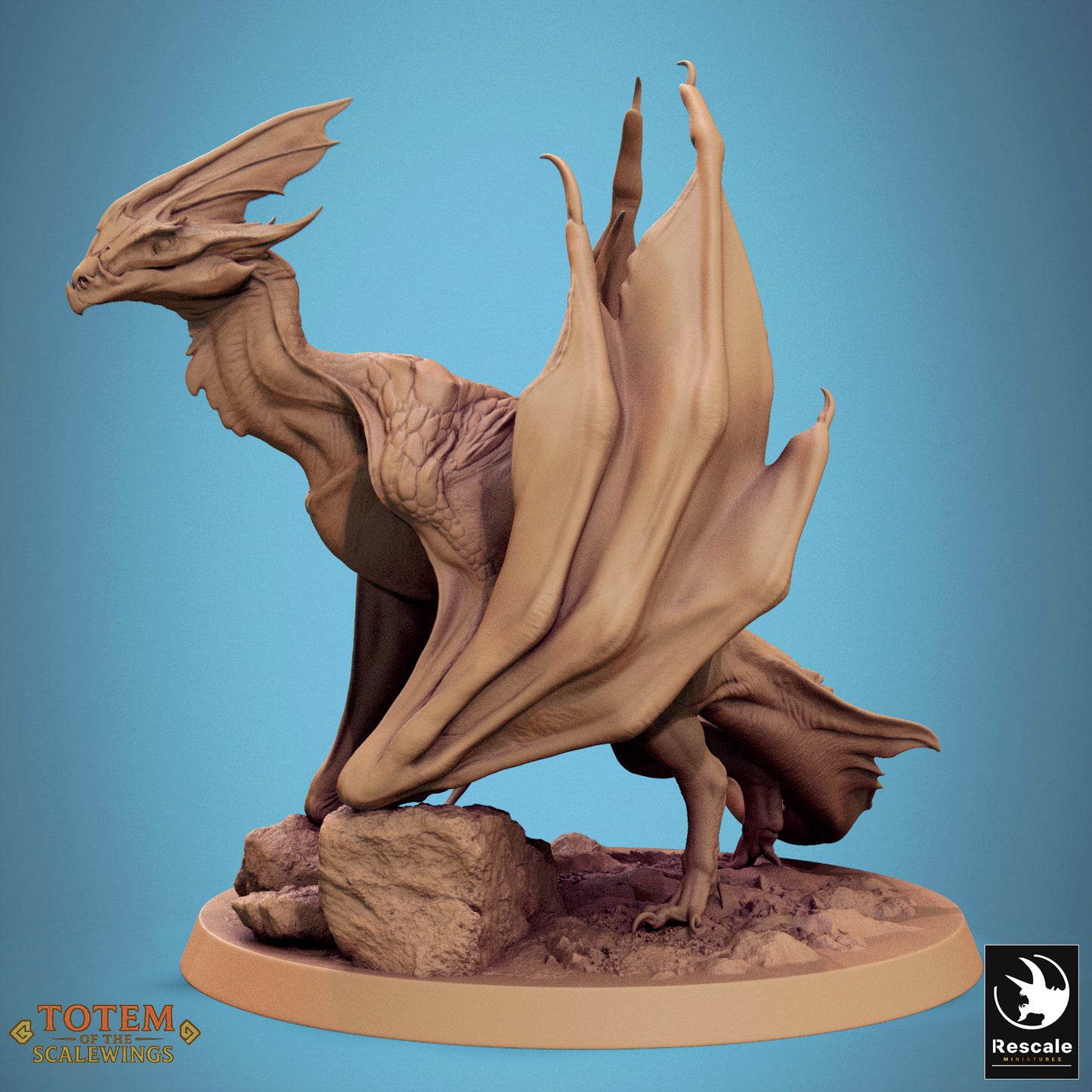 Zicoalt (8 Models)