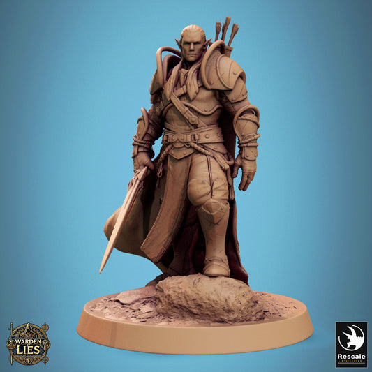 Moon Elf Sentinel (30 Models)