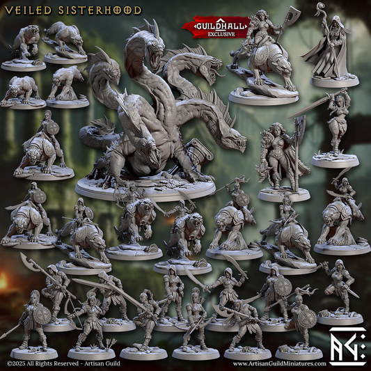 VEILED SISTERHOOD Bundle