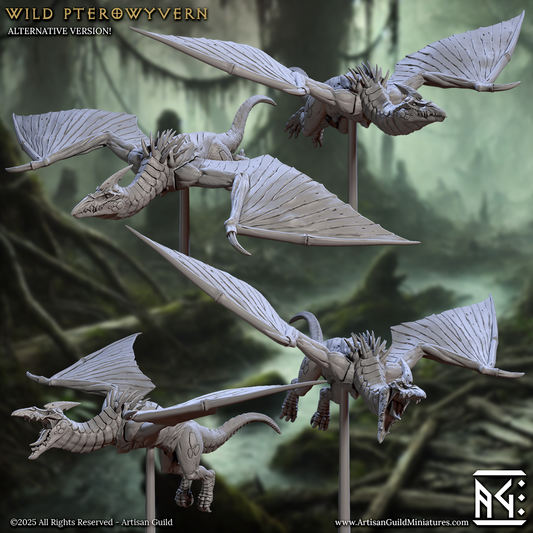 Pterowyvern (4 Models)