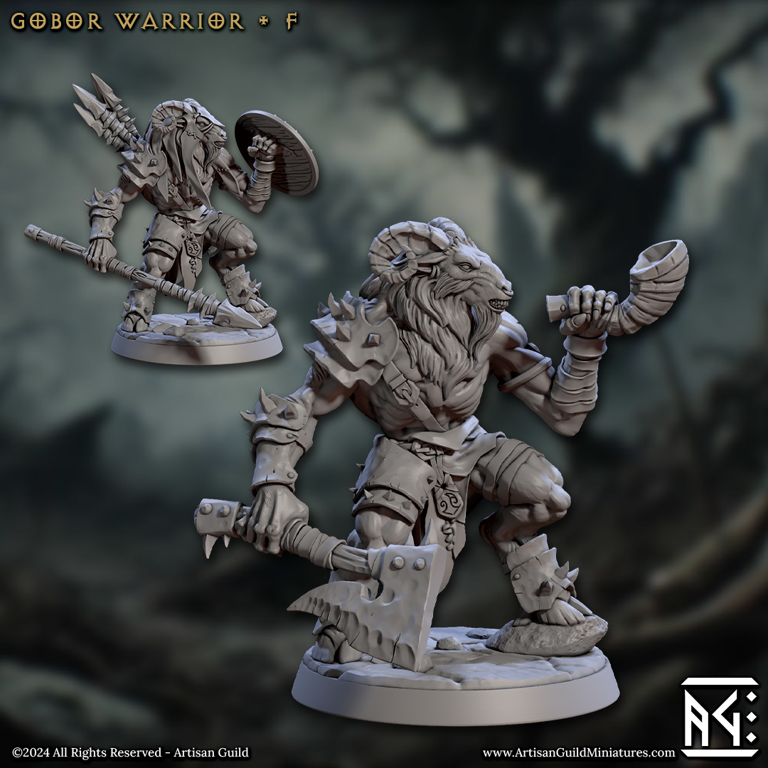 Gobor Warriors A to F- Double Kits