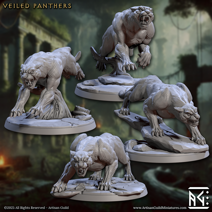 VEILED SISTERHOOD Bundle