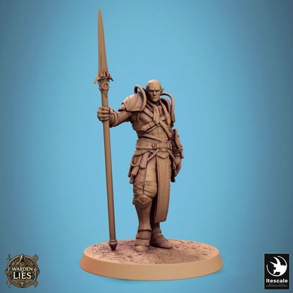 Moon Elf Sentinel (30 Models)