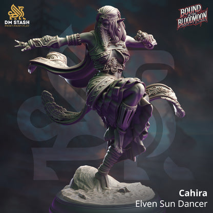 Elf Sun Soul Monk - Cahira