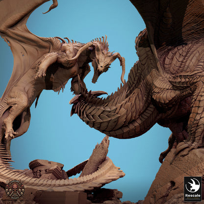 Black VS Silver Dragon Diorama