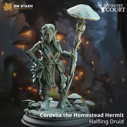 The Fey Court Bundle