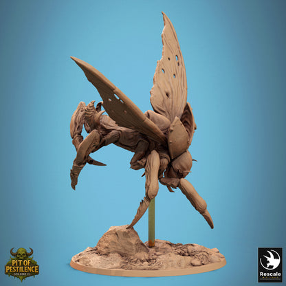 Scarab Wild (11 Models)