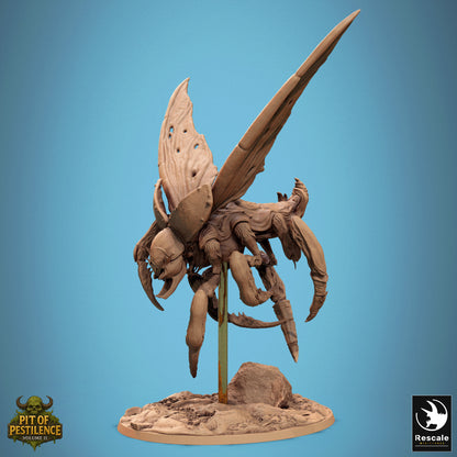 Scarab Wild (11 Models)
