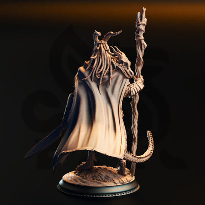 Horzin Ashen-Palm - Black Dragonkin Druid