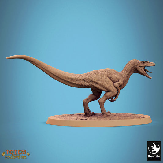 Jurassic Velociraptor (7 Models)