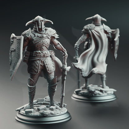 Lizarin - Champion of Renmaeth