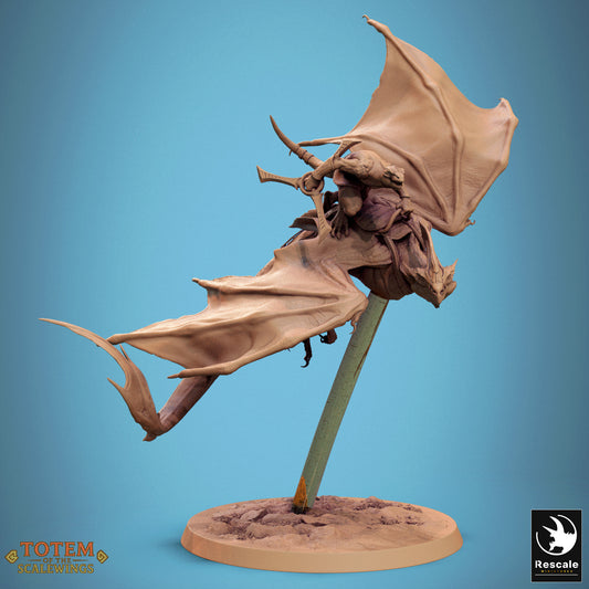 Zicoalt Rider (8 Models)