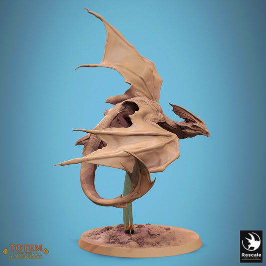 Zicoalt (8 Models)